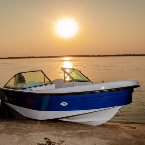 D_NQ_NP_2X_857584-MLU47295609066_082021-F